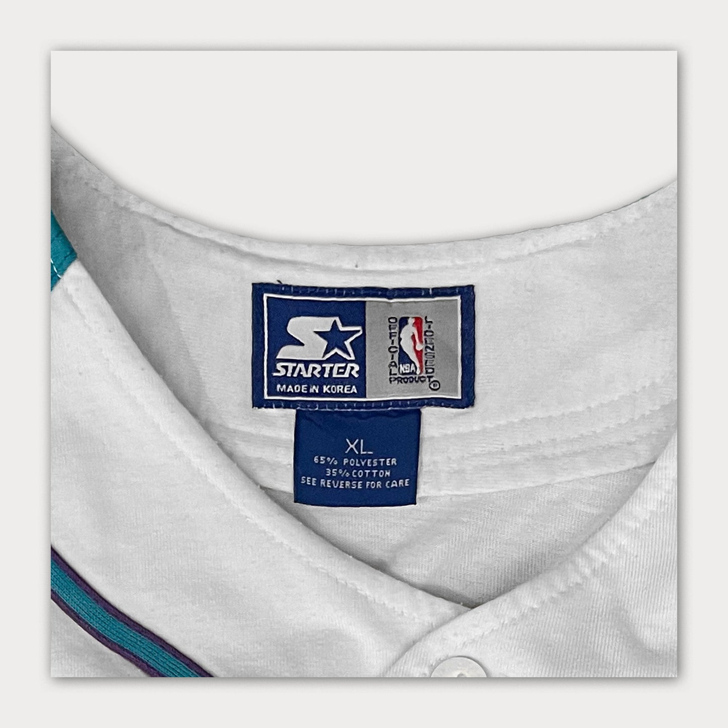 90s Charlotte Hornets