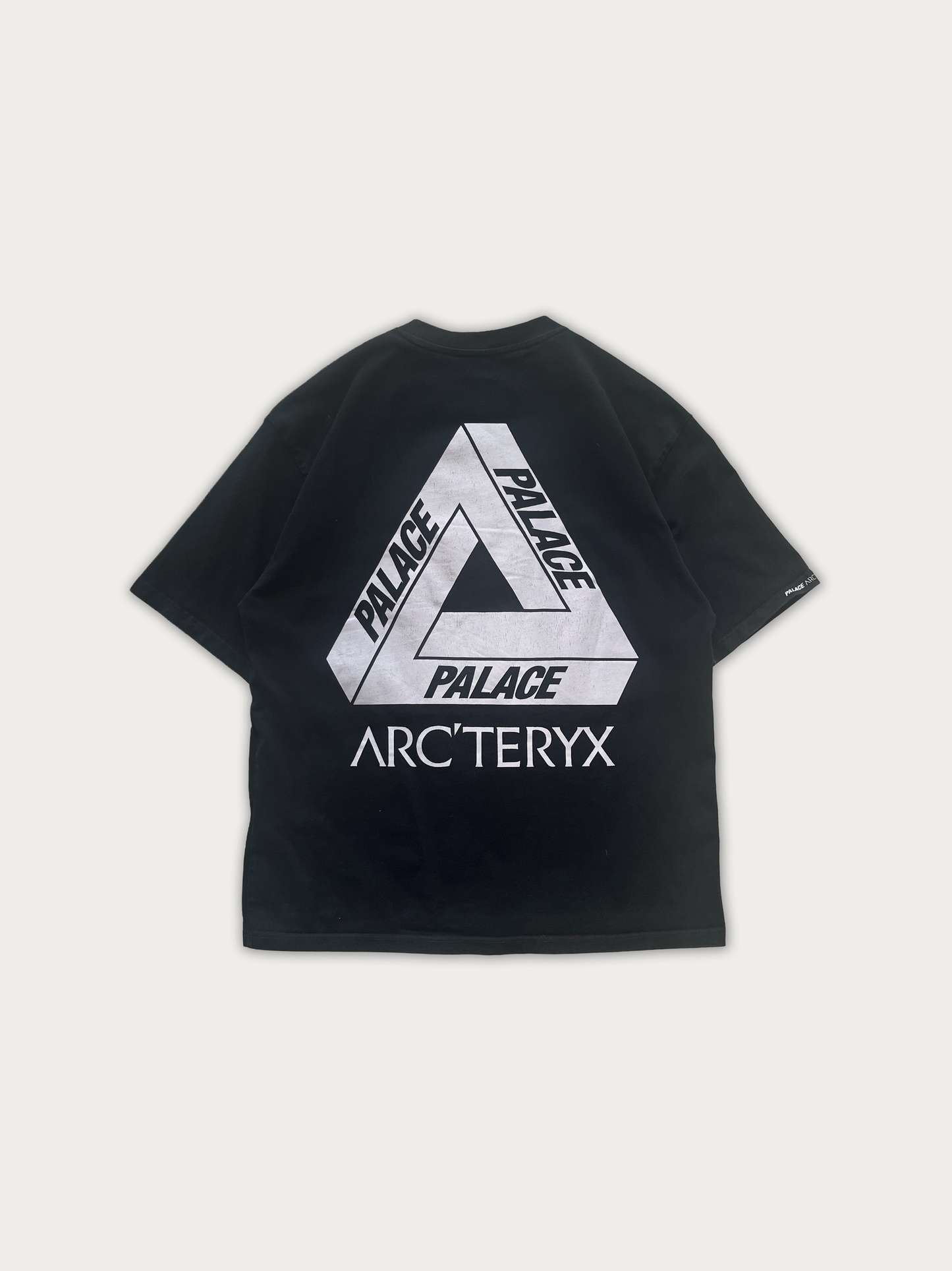 Palace Arc'teryx Tee