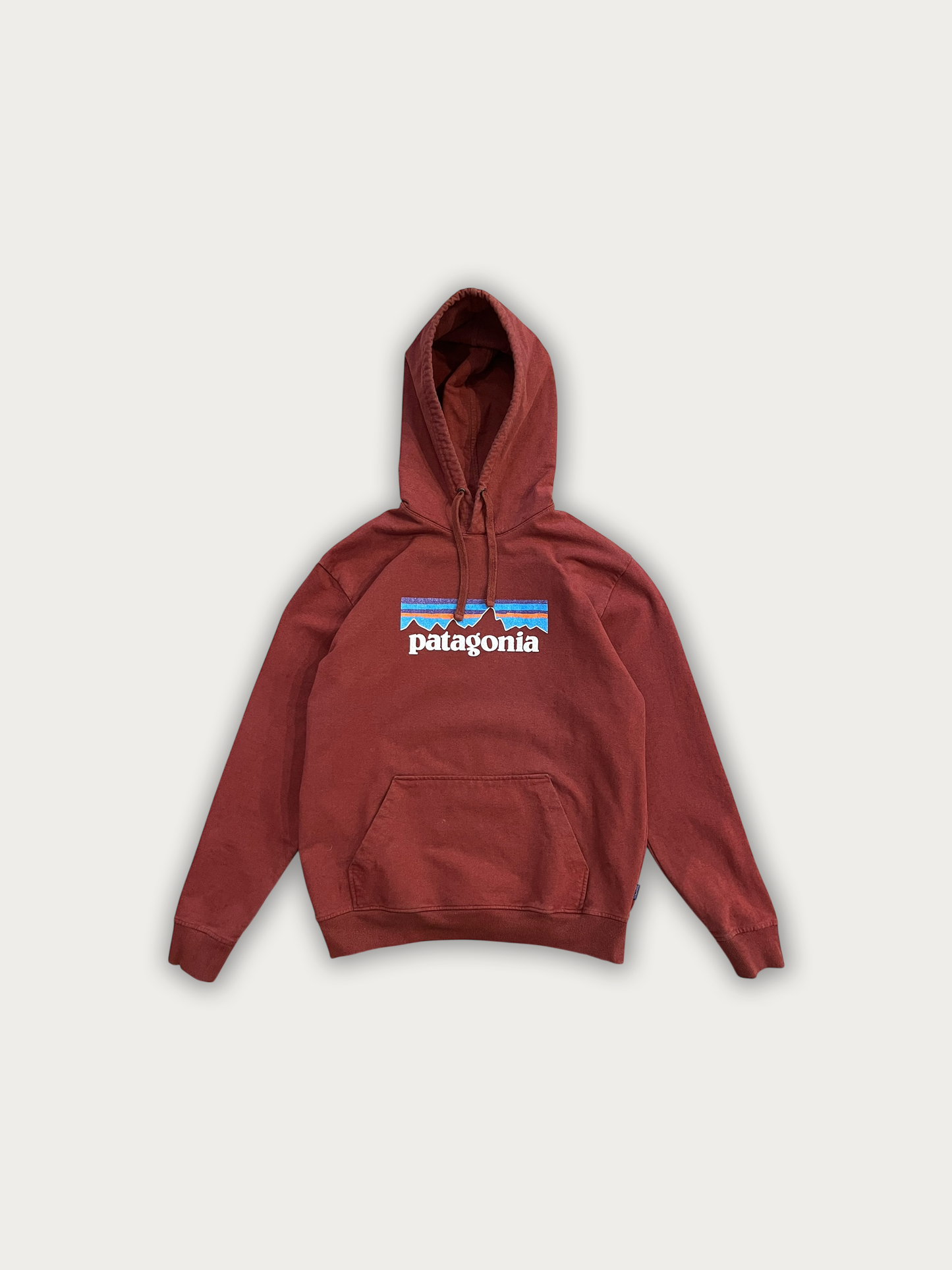 Patagonia Hoodie