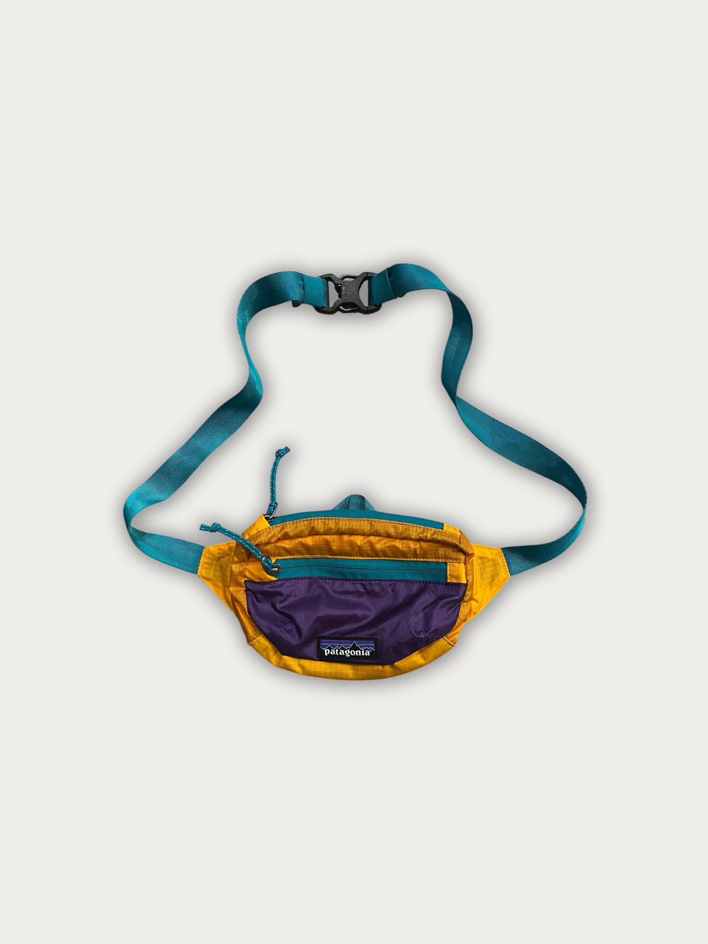 GIVEAWAY! - Patagonia Bumbag