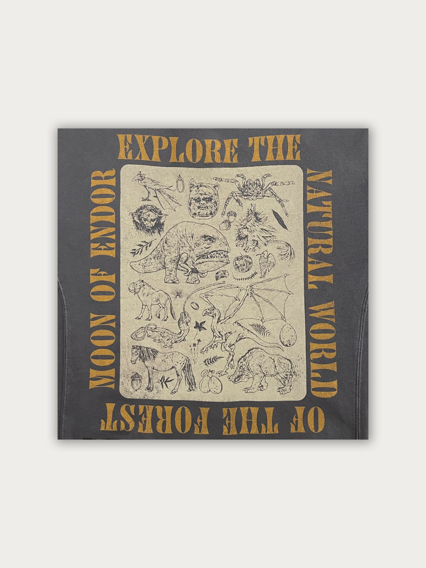 Star Wars Endor Wildlife Expedition Sweatshirt