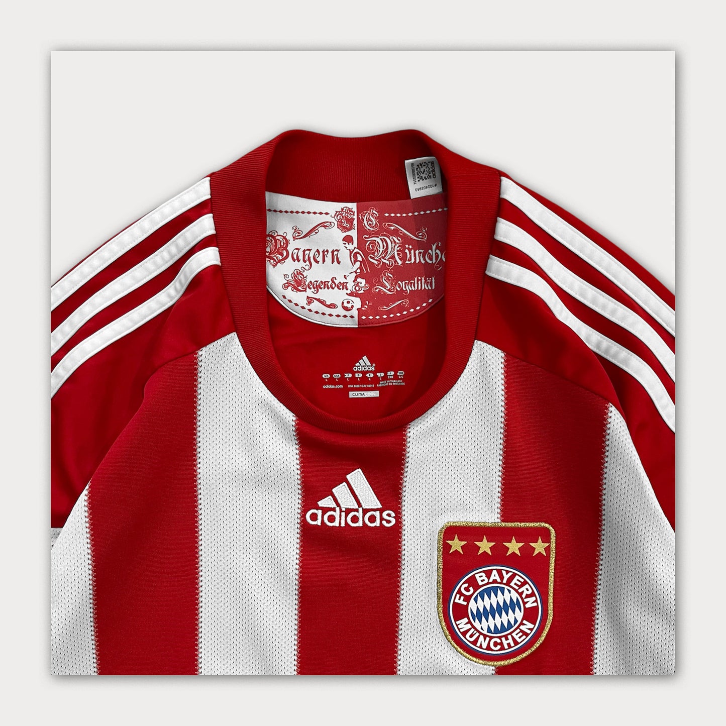 OG 2010/11 Bayern Munich Home