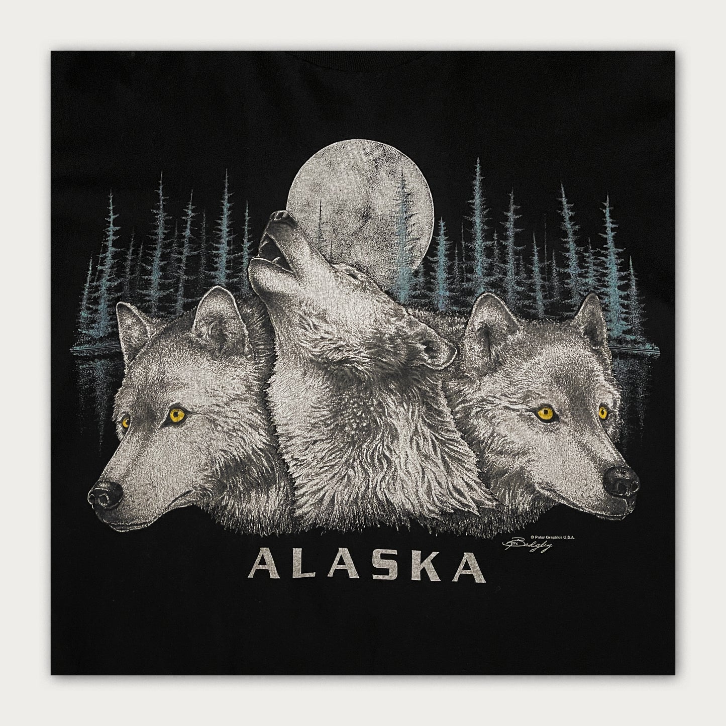 90s Polar Graphics Tee