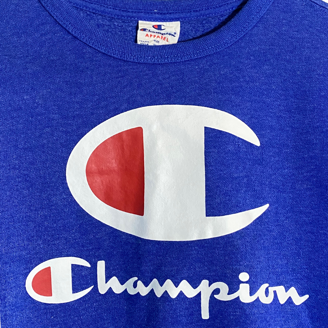 2010 Champion Sweatshirt