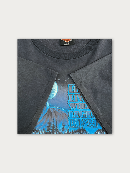 Rare 1991 Harley Davidson - Single Stitched Made in USA