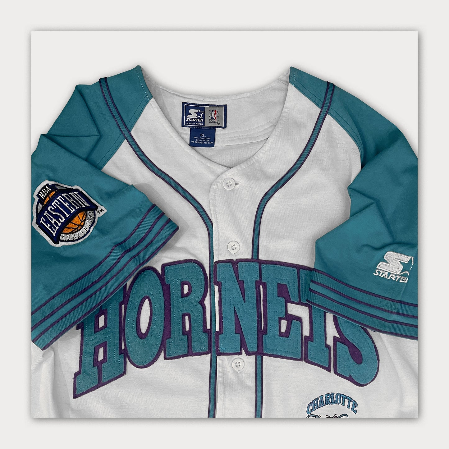 90s Charlotte Hornets