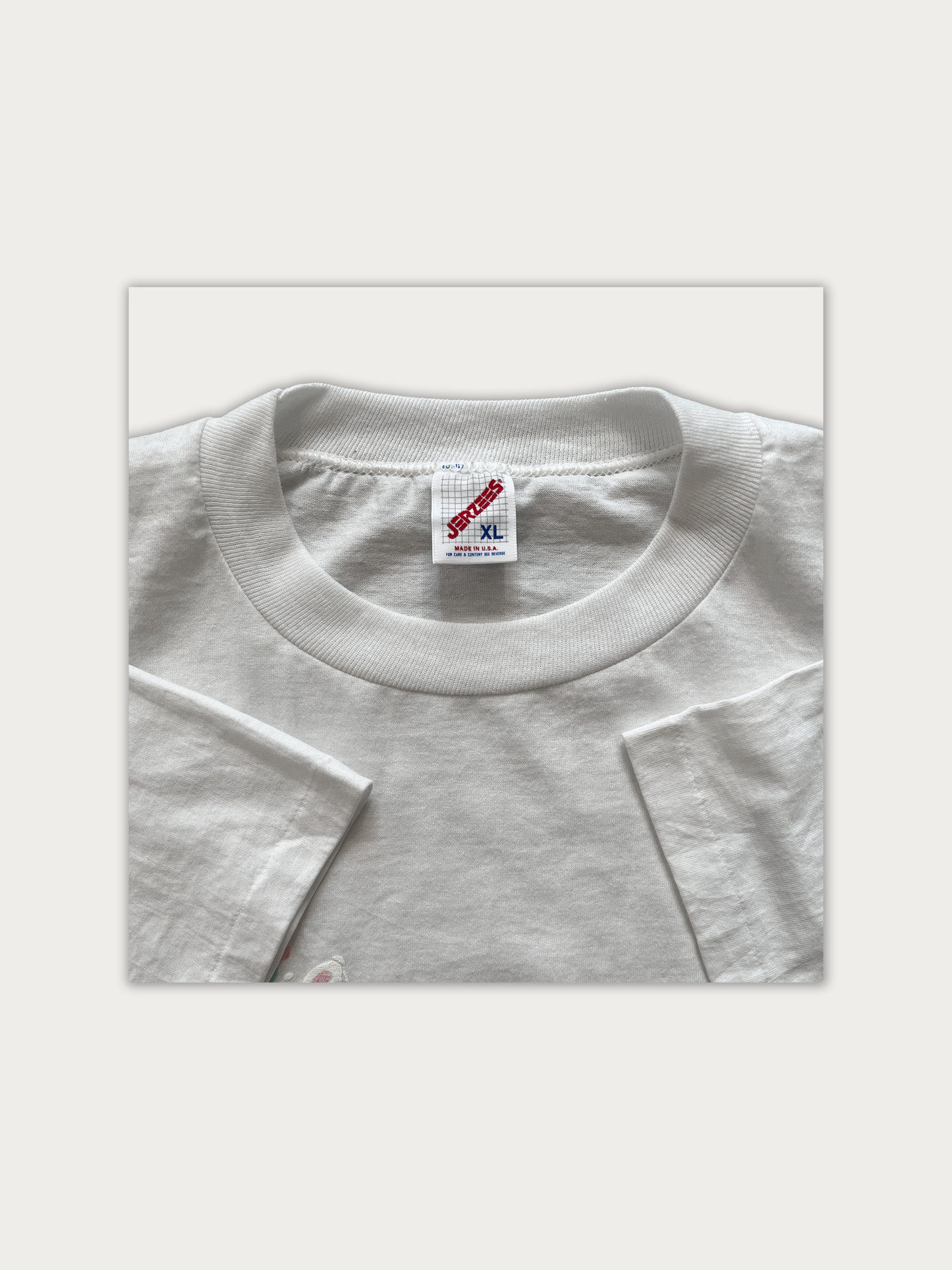 Vintage 90s Single Stitched Tee