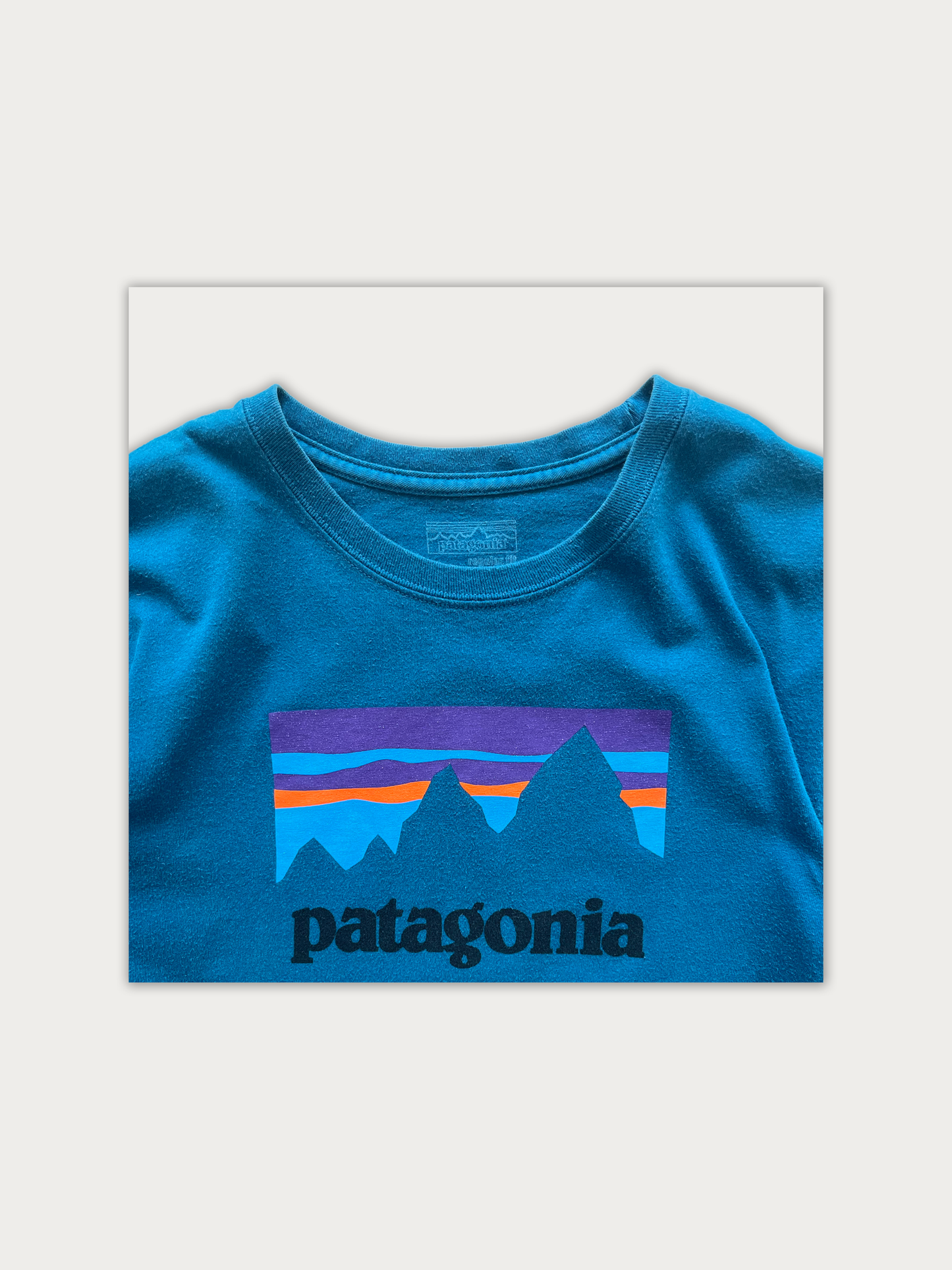 Patagonia Long Tee
