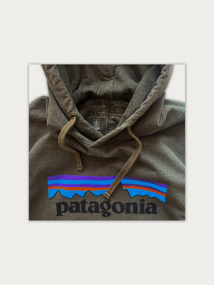 Patagonia Long Hoodie