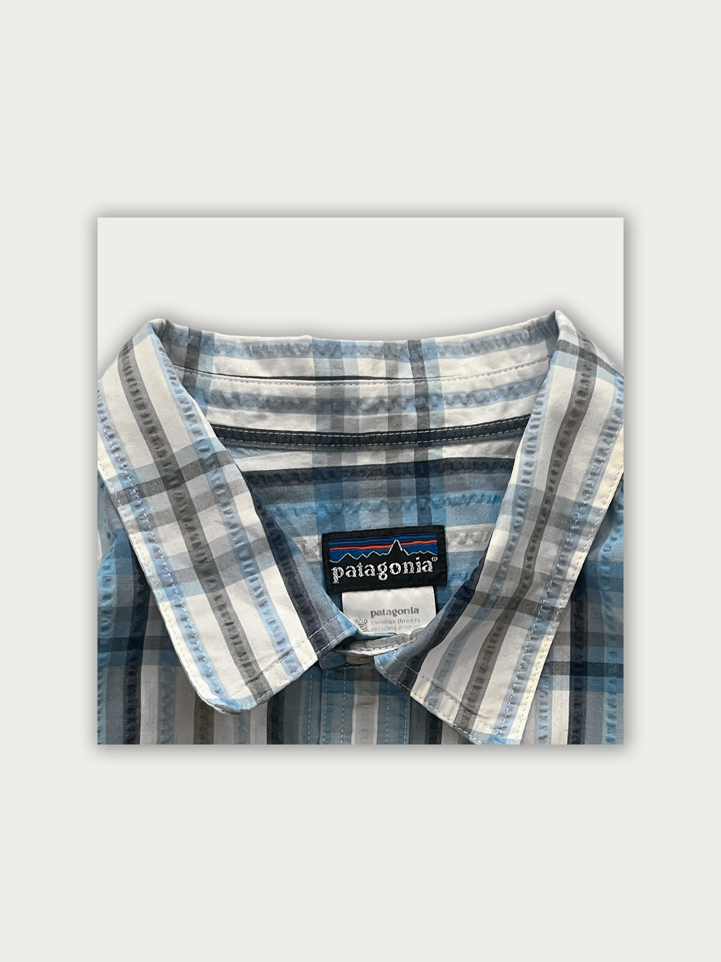 Patagonia Shirt