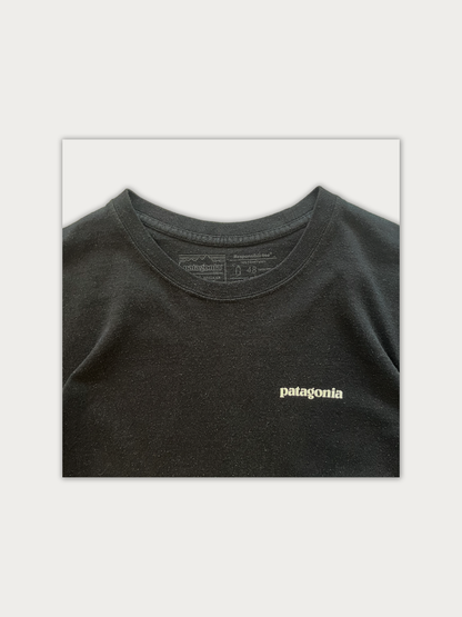 Patagonia Long Tee