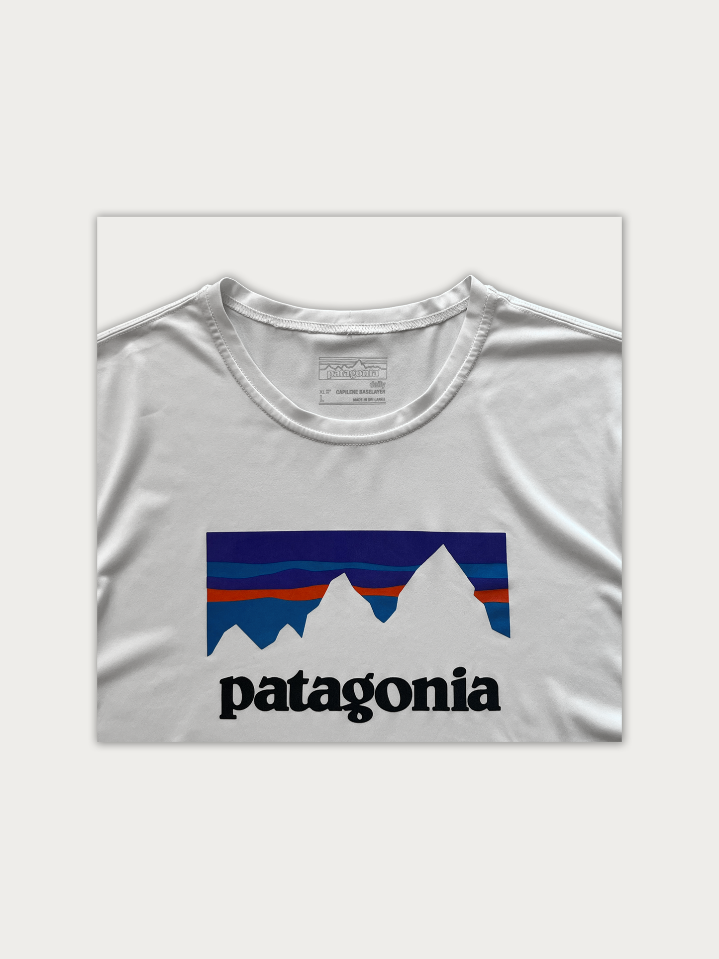 Patagonia Tee