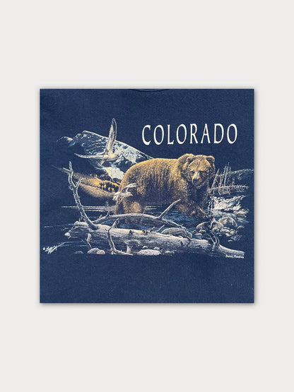 Early 90s Fruit of The Loom Swetshirt