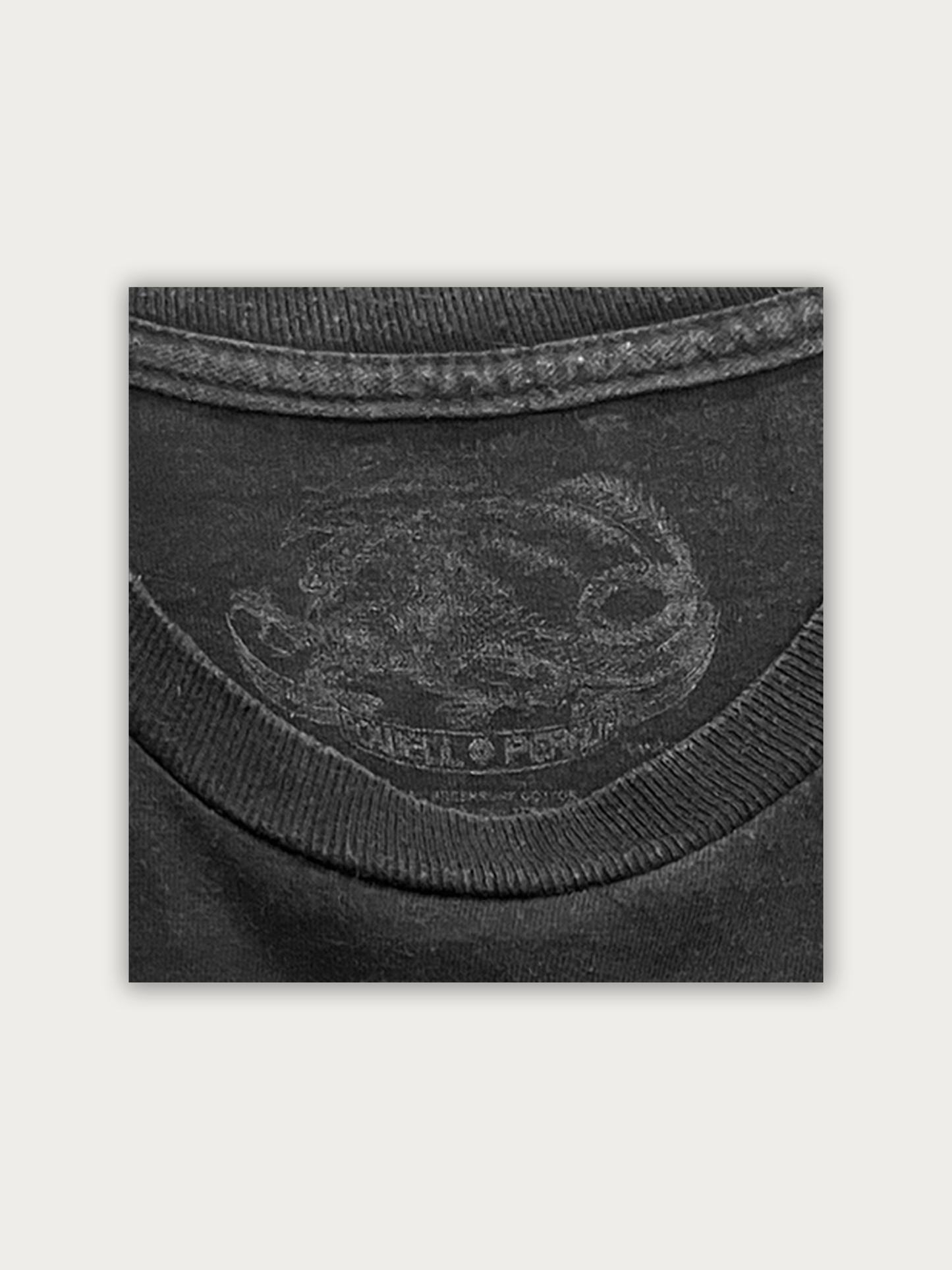 Powell Peralta Tee