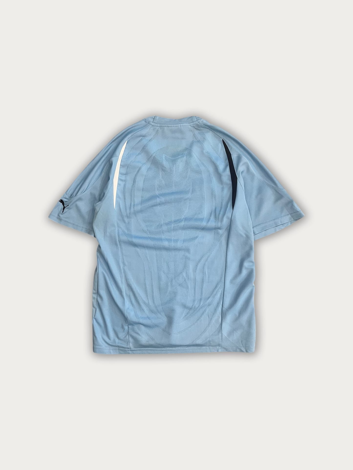 2010-11 Tottenham Away
