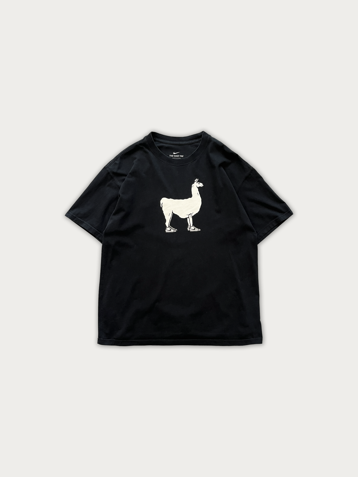 Nike SB Tee