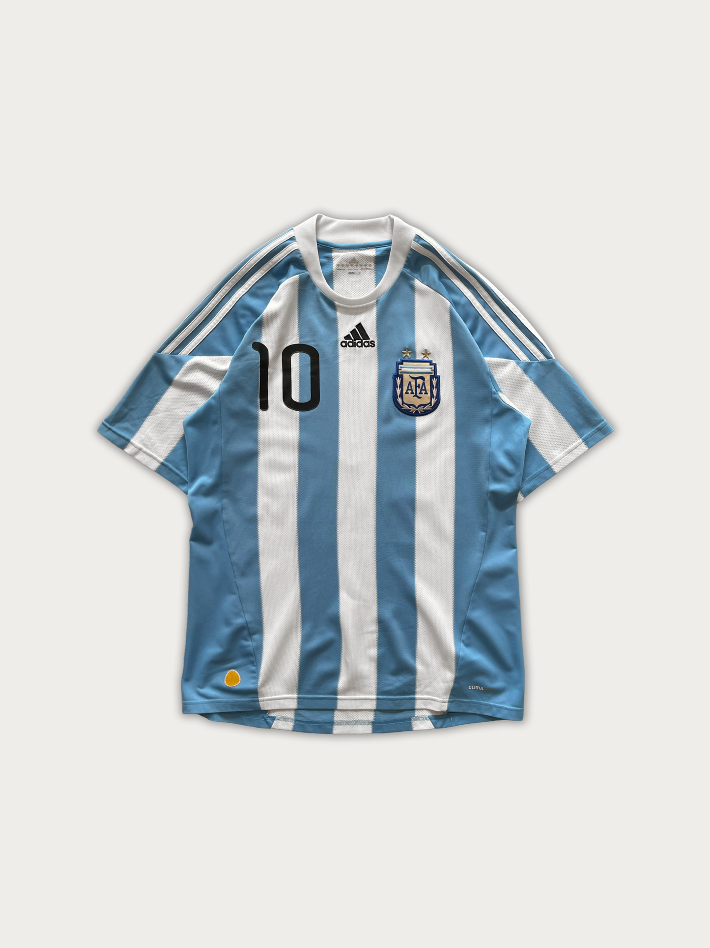 2010-11 Argentina Home Shirt Messi #10 (some prints are worn)