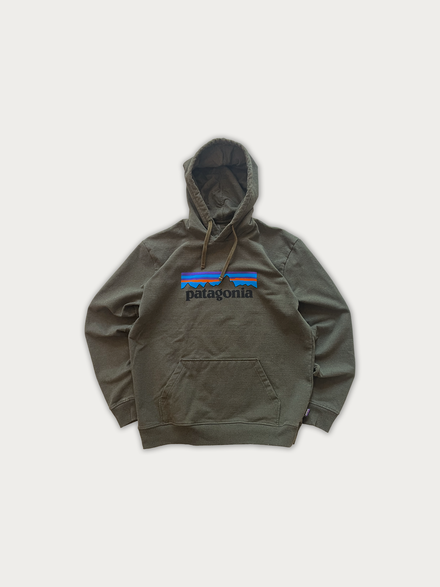 Patagonia Long Hoodie
