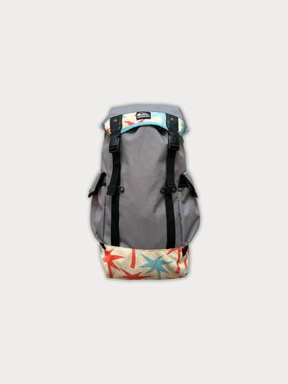 Quicksilver Backpack