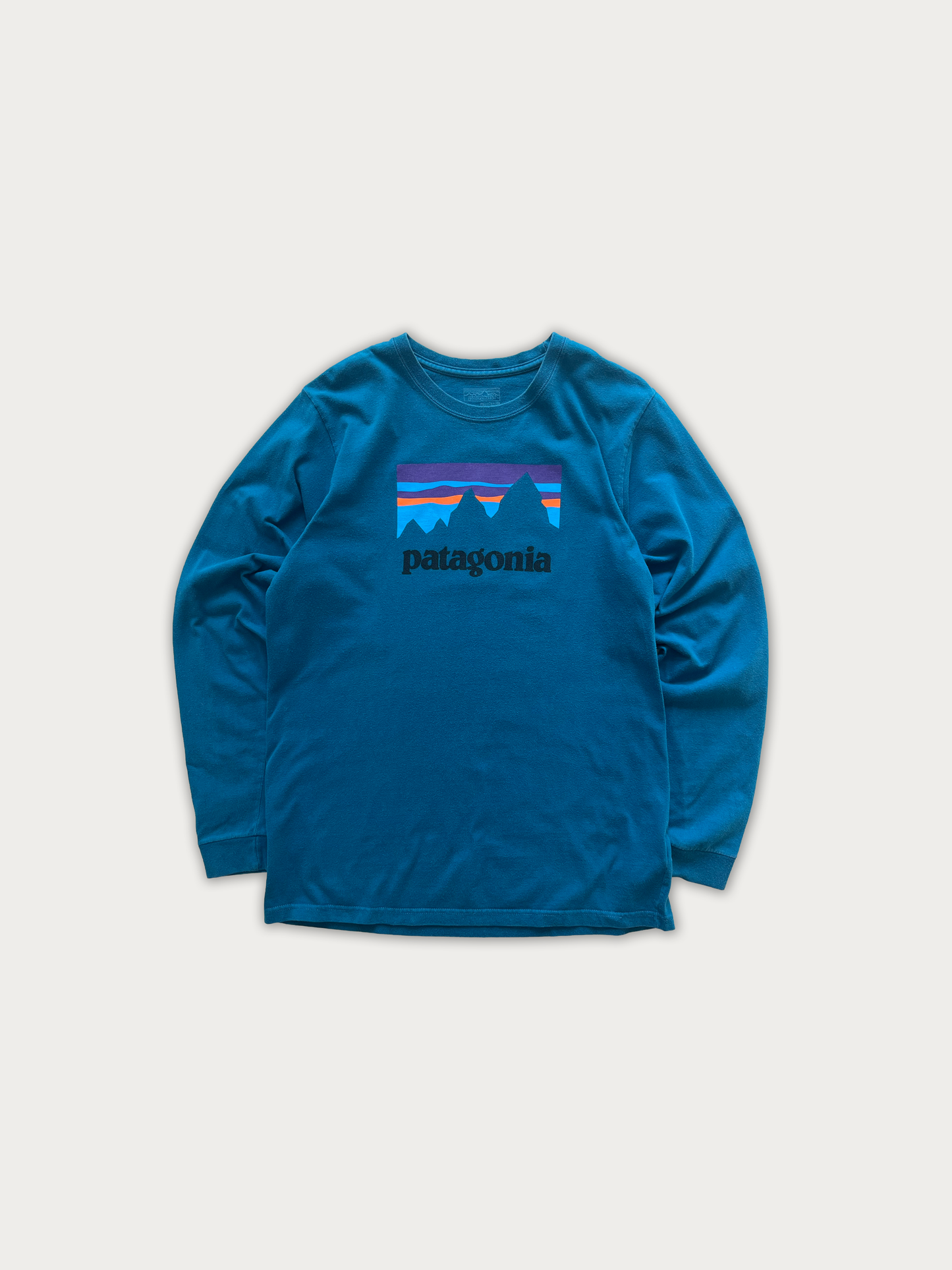 Patagonia Long Tee