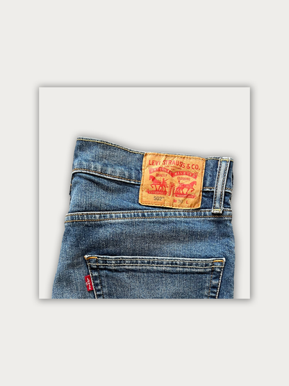 Vintage Levis Shorts