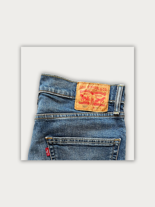 Vintage Levis Shorts
