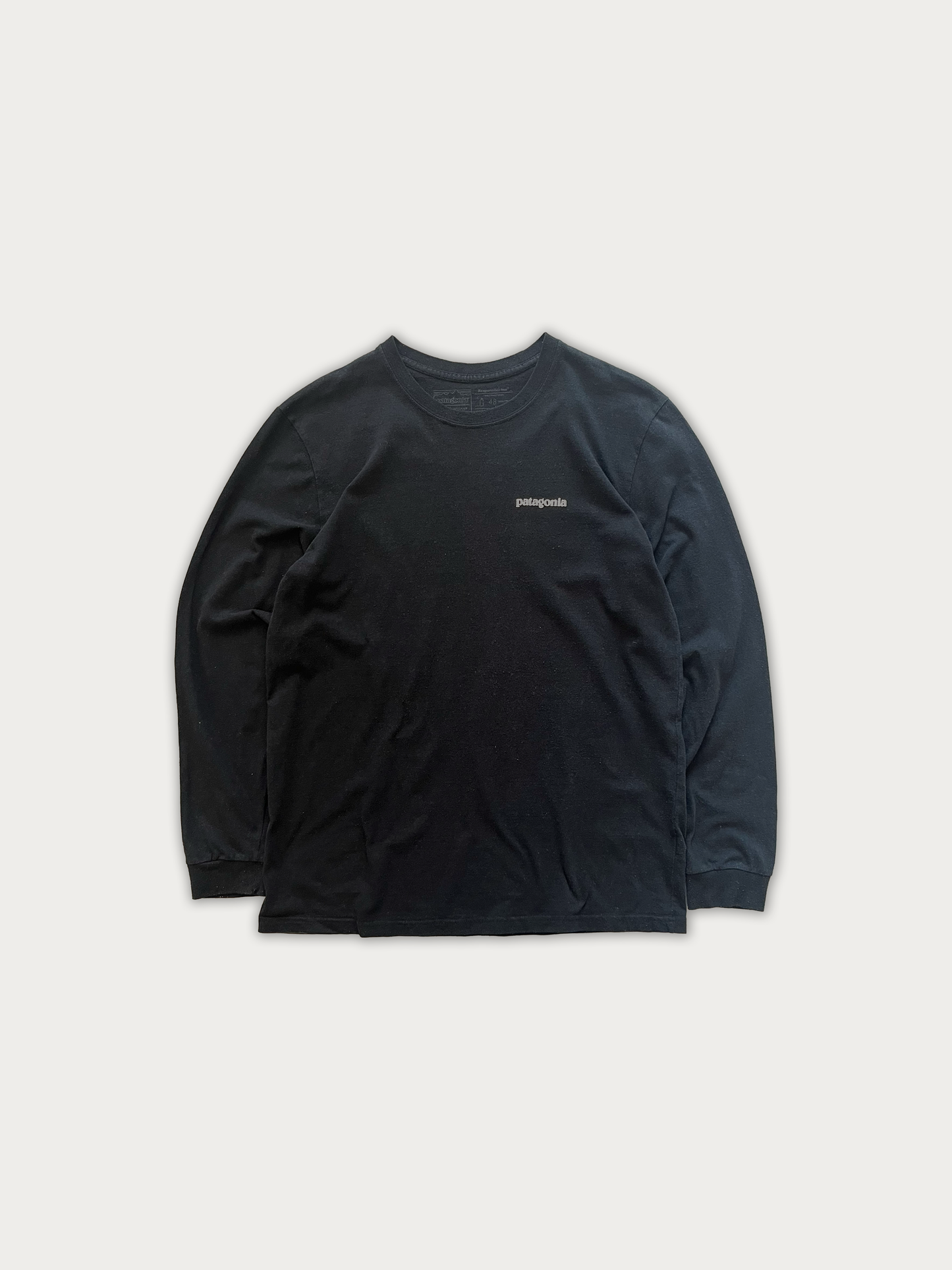 Patagonia Long Tee
