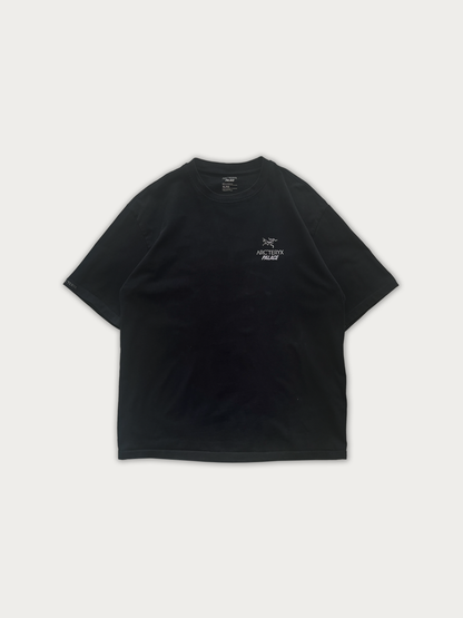 Palace Arc'teryx Tee
