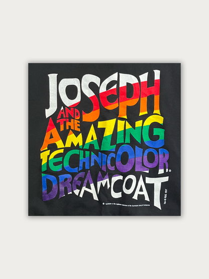 RARE - 1991 Technicolor Dreamcoat Sweatshirt