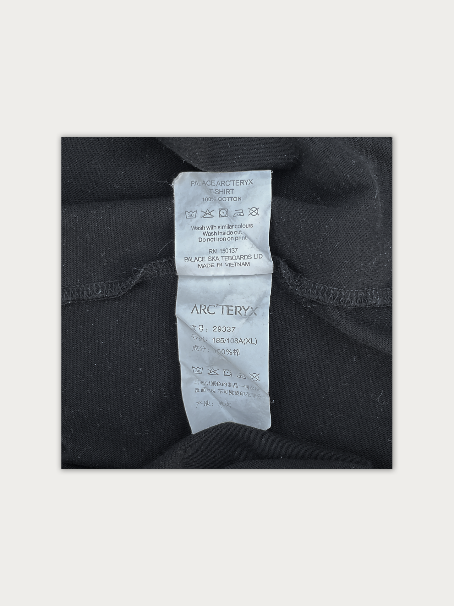 Palace Arc'teryx Tee