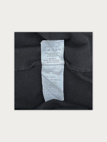 Palace Arc'teryx Tee