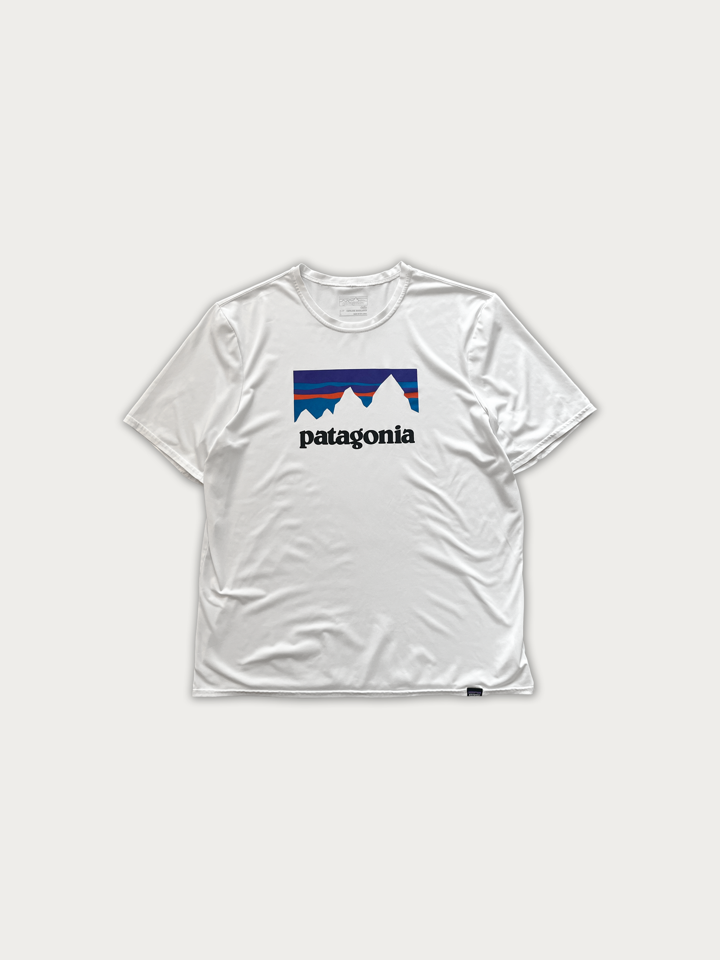 Patagonia Tee