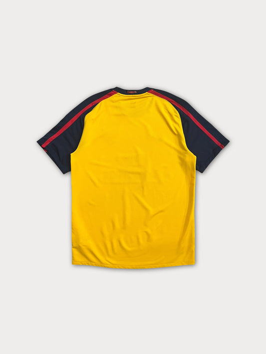 2008/09 Arsenal