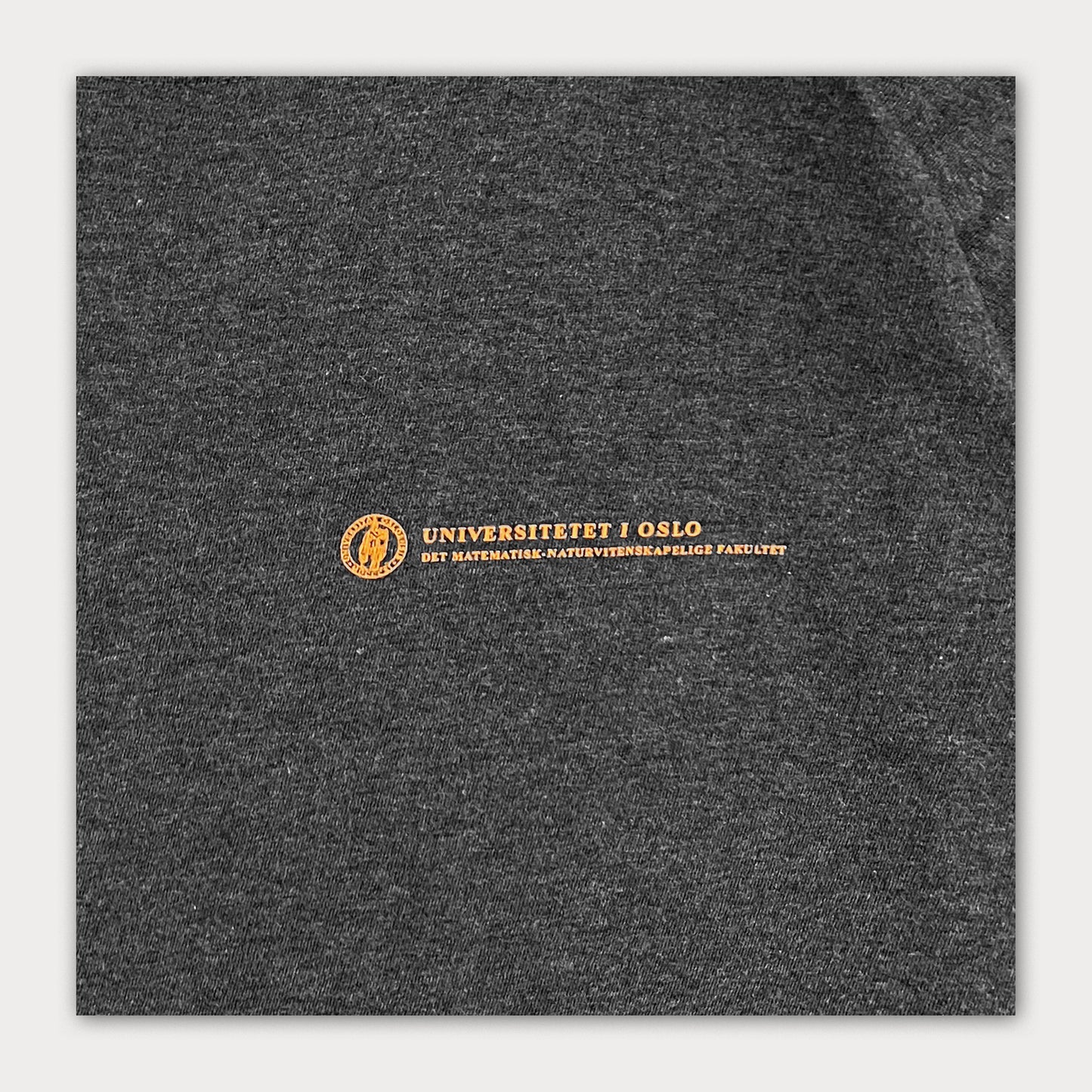 Uni of Oslo Tee