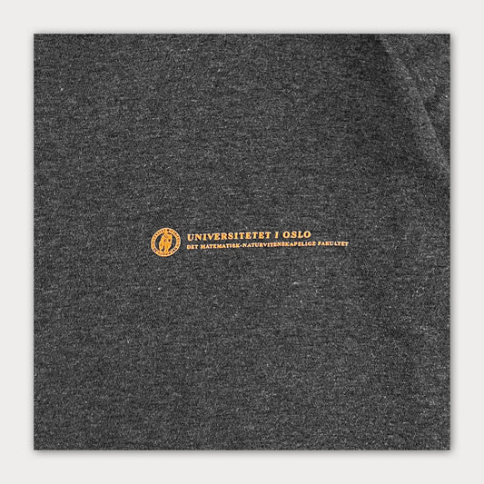 Uni of Oslo Tee