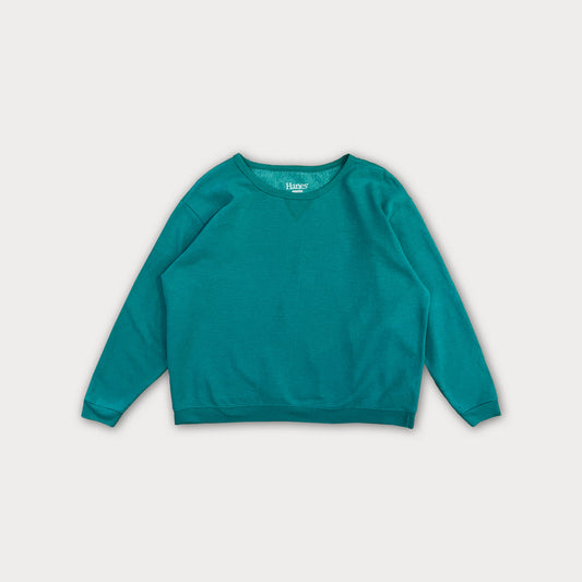 Hanes Colorblock Sweatshirt