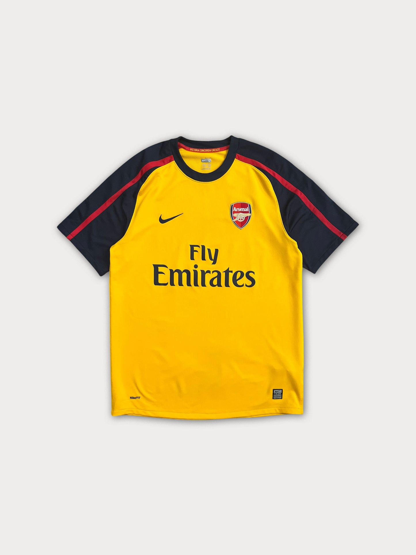 2008/09 Arsenal