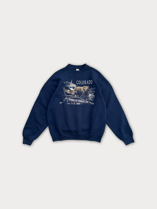 Early 90s Fruit of The Loom Swetshirt