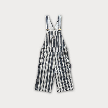 Denim Striped Overall