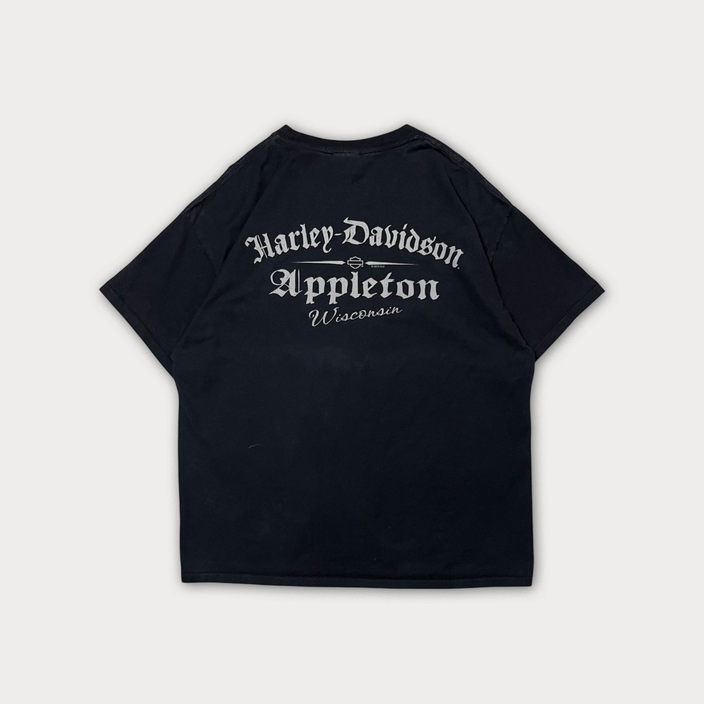 Harley Davidson Tee - on Hanes Beefy Heavy Cotton