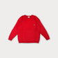 Lacoste Thick Cotton Sweater