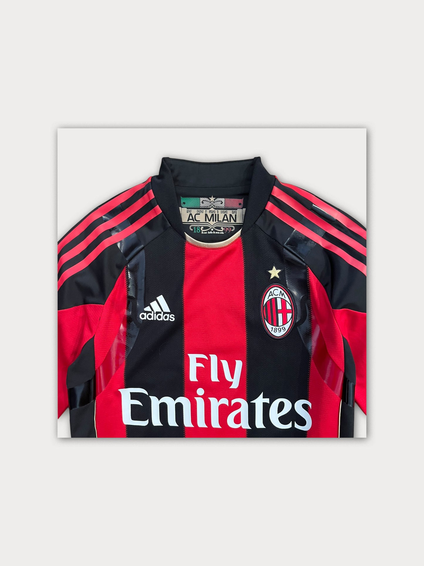 2010/11 AC Milan