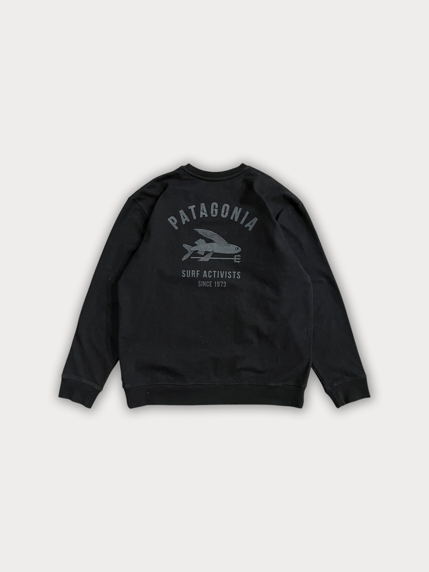 Patagonia Sweatshirt