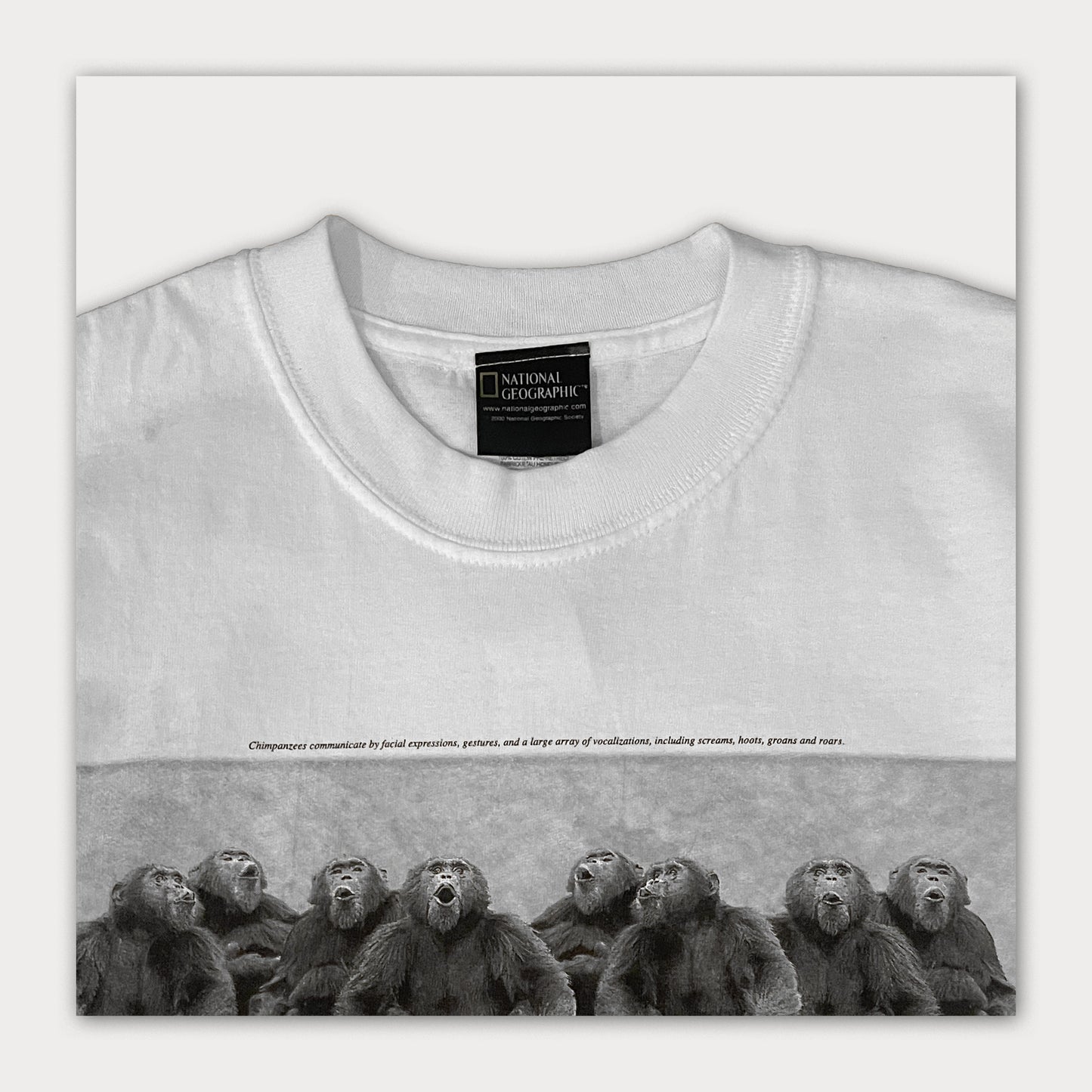 National Geographic Tee