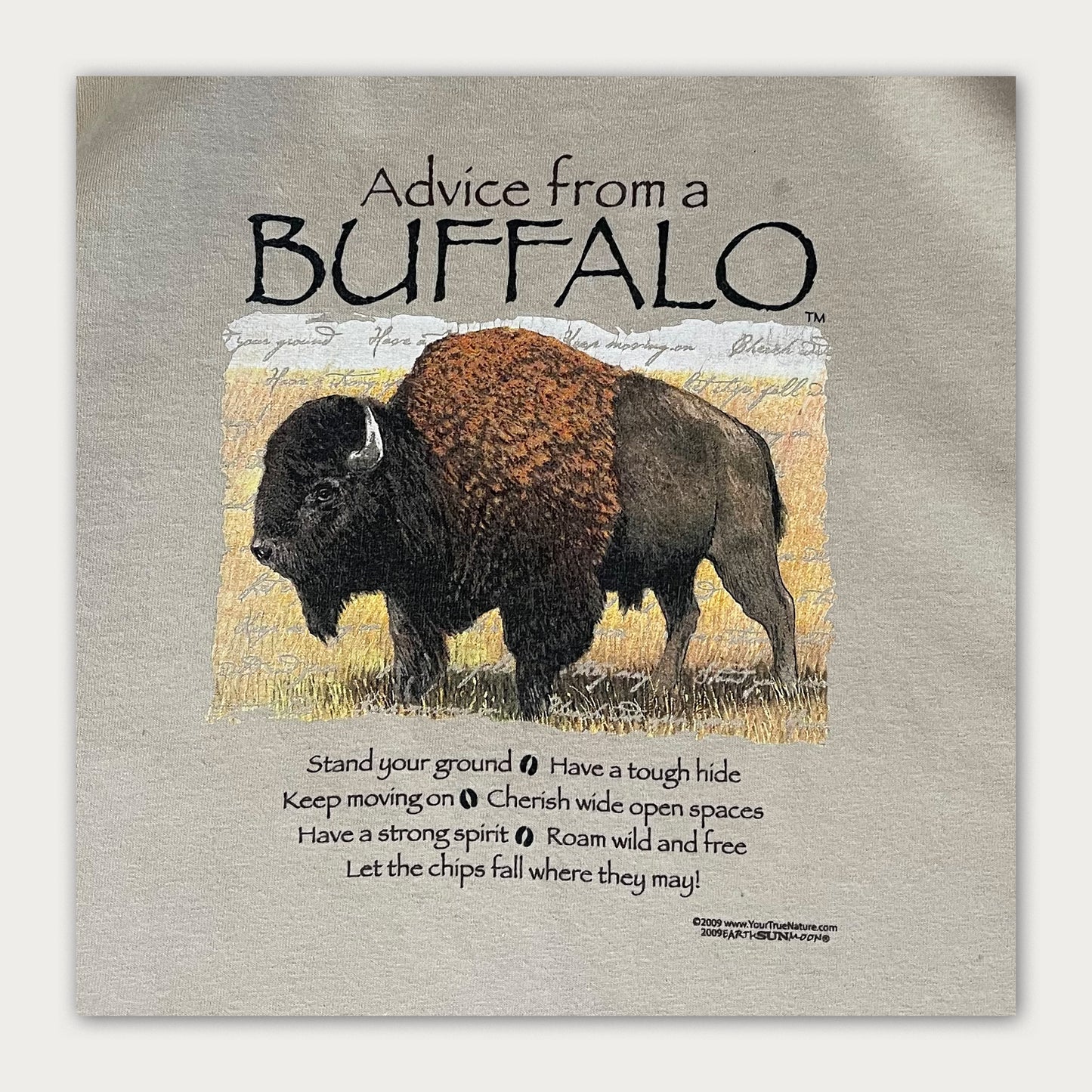 Yellowstone Park Tee