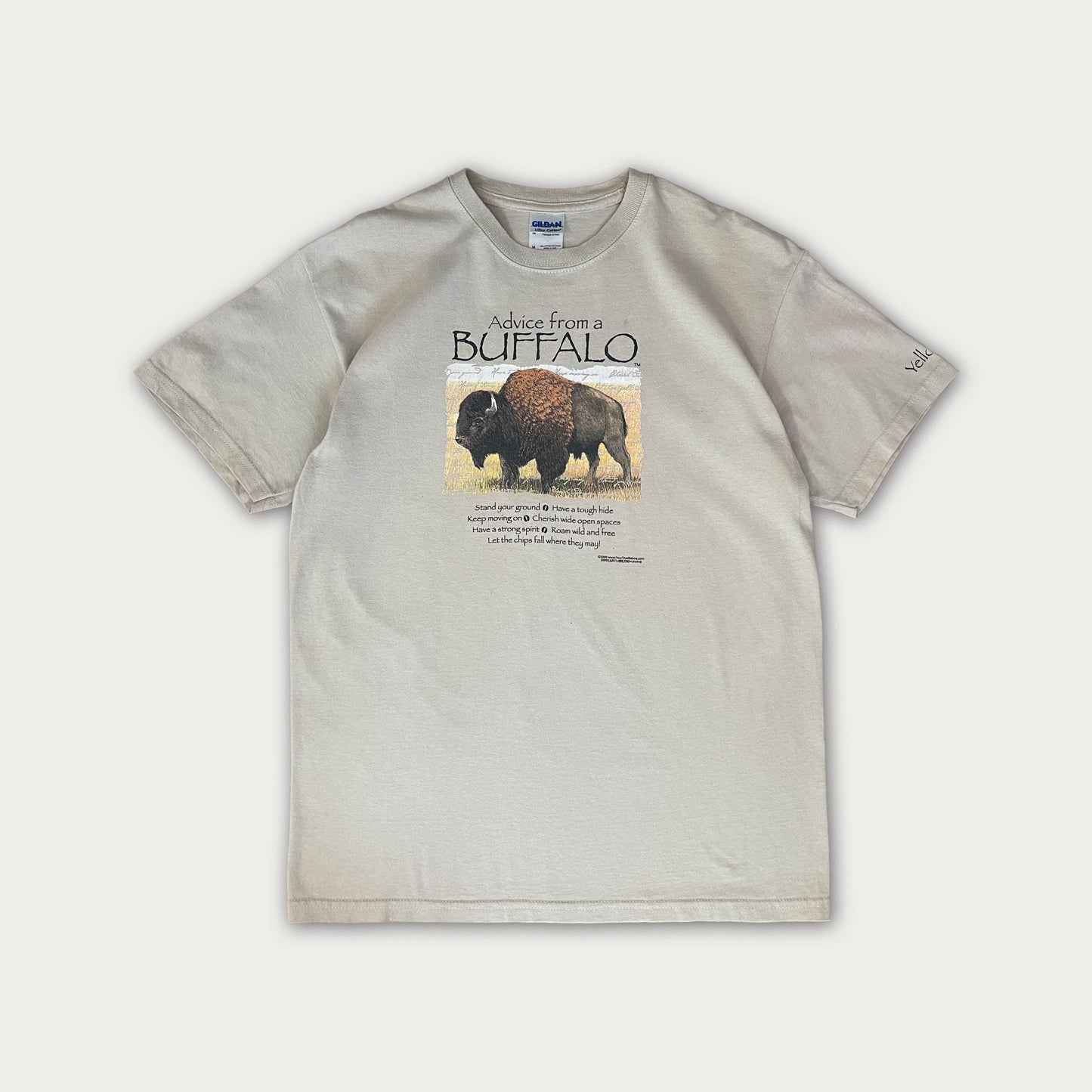 Yellowstone Park Tee