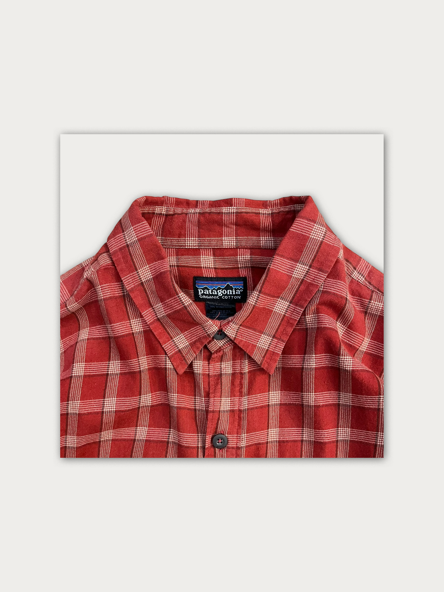 Patagonia Shirt