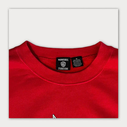 90's Warner Bros Studio Store Sweatshirt