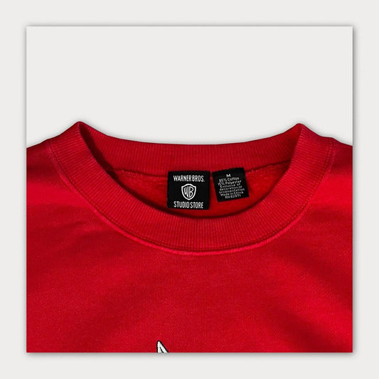 90's Warner Bros Studio Store Sweatshirt